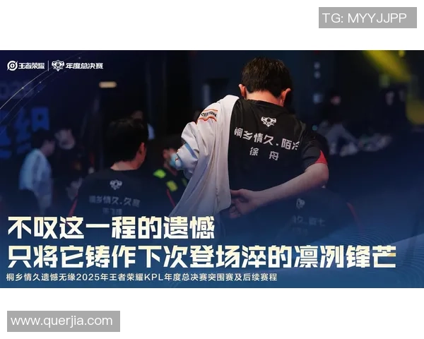 TES心理素质引发热议王者荣耀赛场背后的压力与挑战